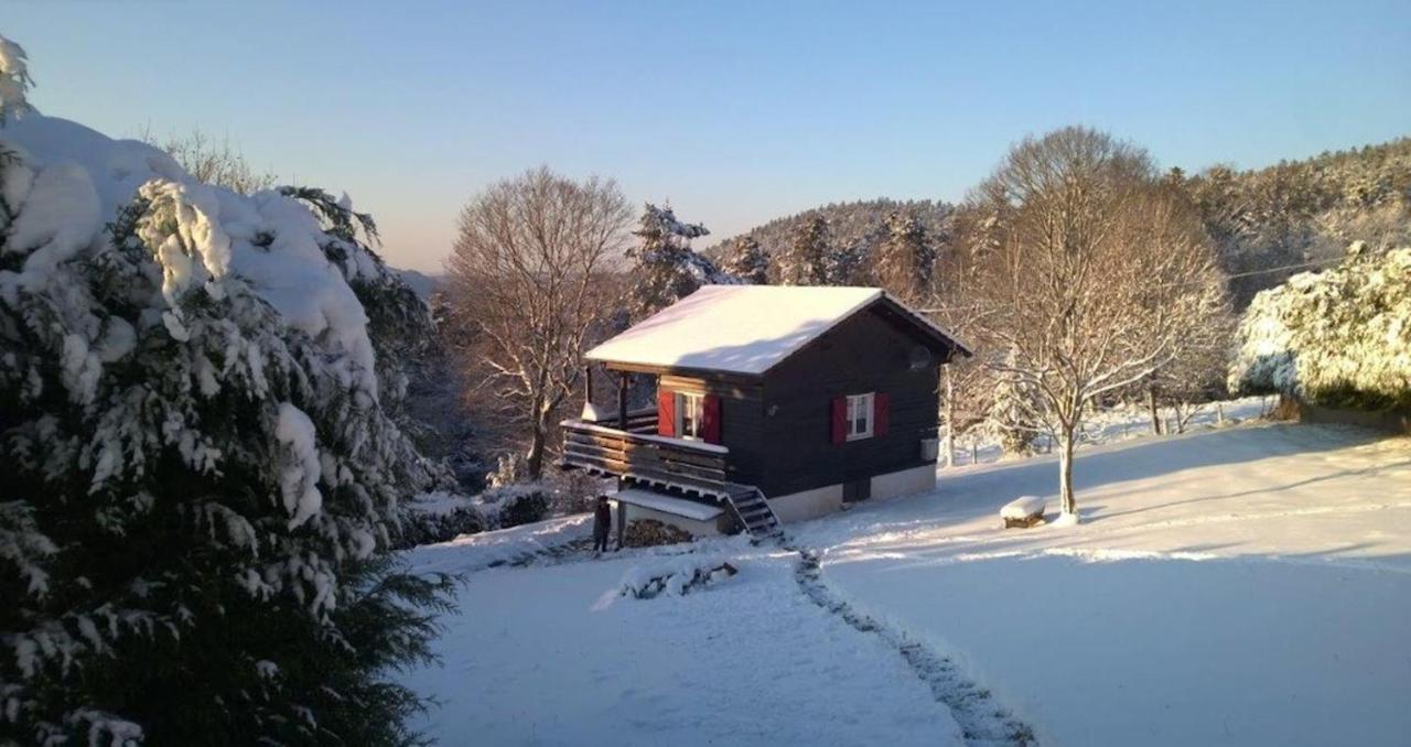 Le Chalet De Rothenbuhl Dabo Esterno foto